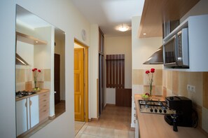 经典公寓, 2 间卧室 (Air Condition; for 4 people) | 私人厨房 | 冰箱、微波炉、炉灶、茶具/咖啡用具