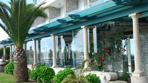 Un hotel con un espacio exterior cubierto, palmeras y plantas en macetas.
