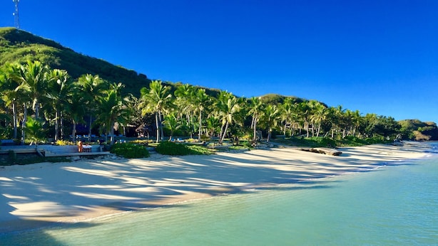 Una playa con agua turquesa cristalina, palmeras y una colina distante.
