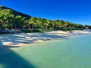 Una playa con agua turquesa cristalina, palmeras y una colina distante.