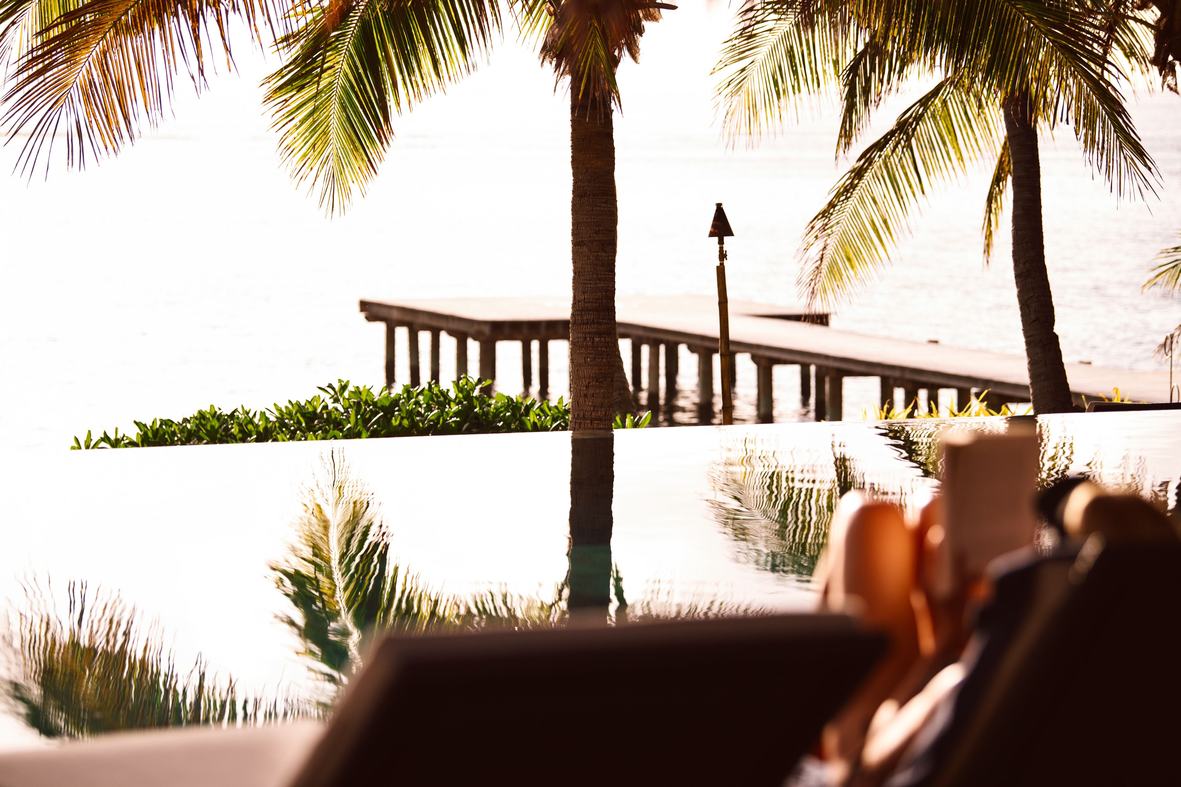 A view of a beachside area with a wooden pier extending into the water, surrounded by palm trees.