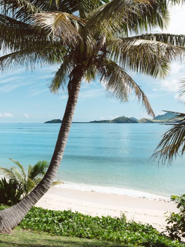 Beachfront Bure  | Beach/ocean view