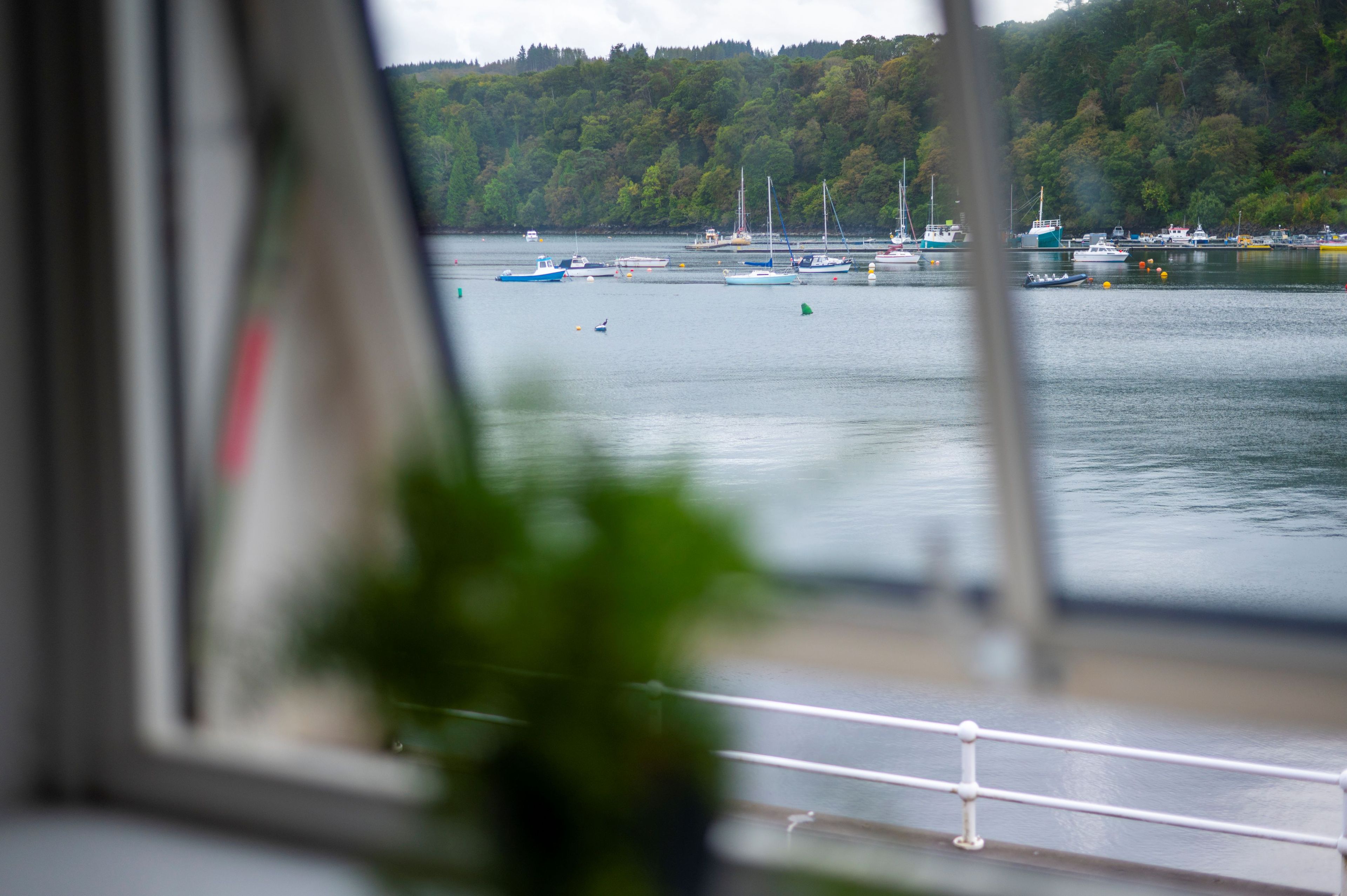 A view of a harbor with boats and a forested hillside in the background.