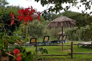 Seasonal outdoor pool, a waterfall pool, pool umbrellas, pool loungers