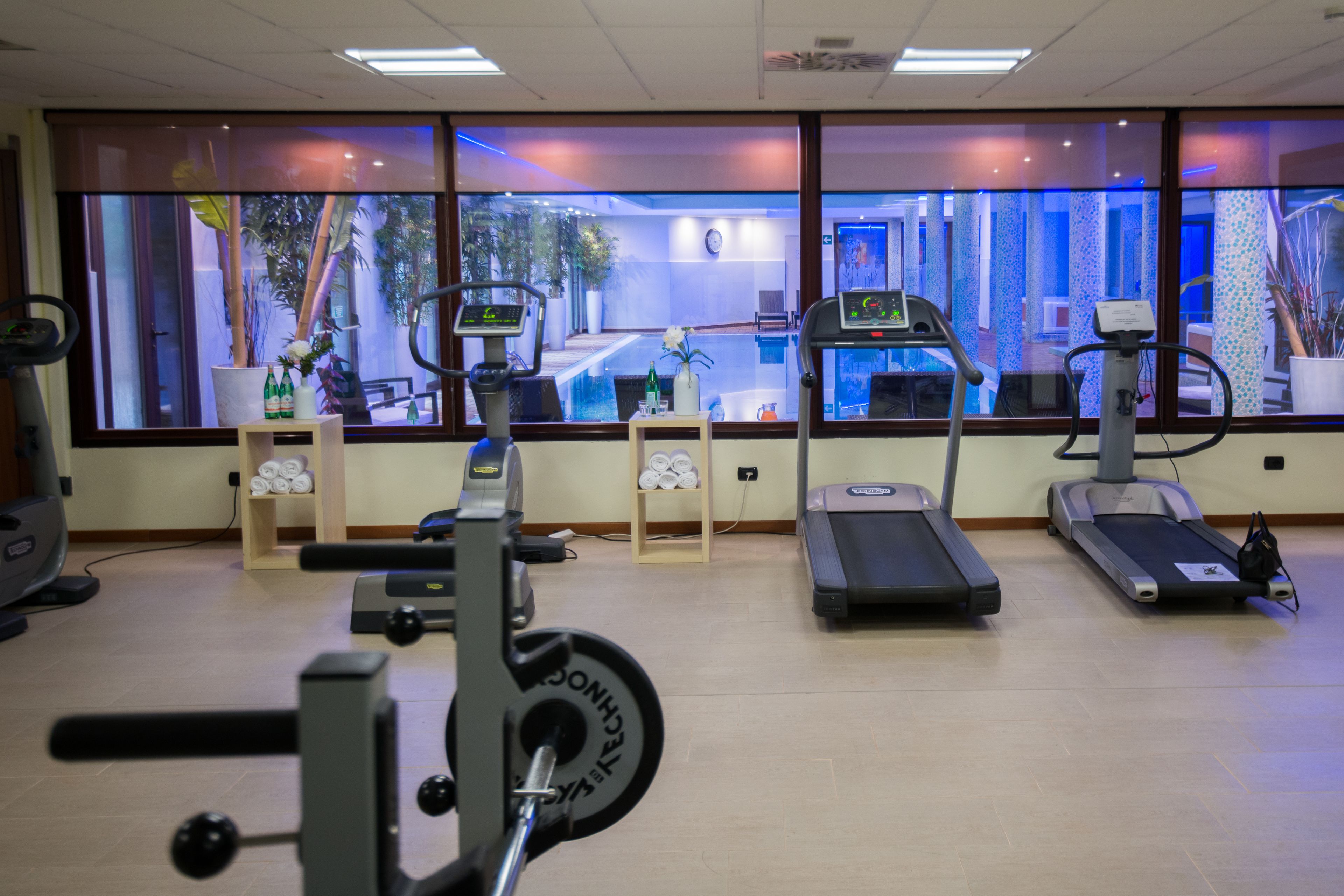 A gym with treadmills, stationary bikes, and a rowing machine. There are large windows with a view of a pool and indoor plants.