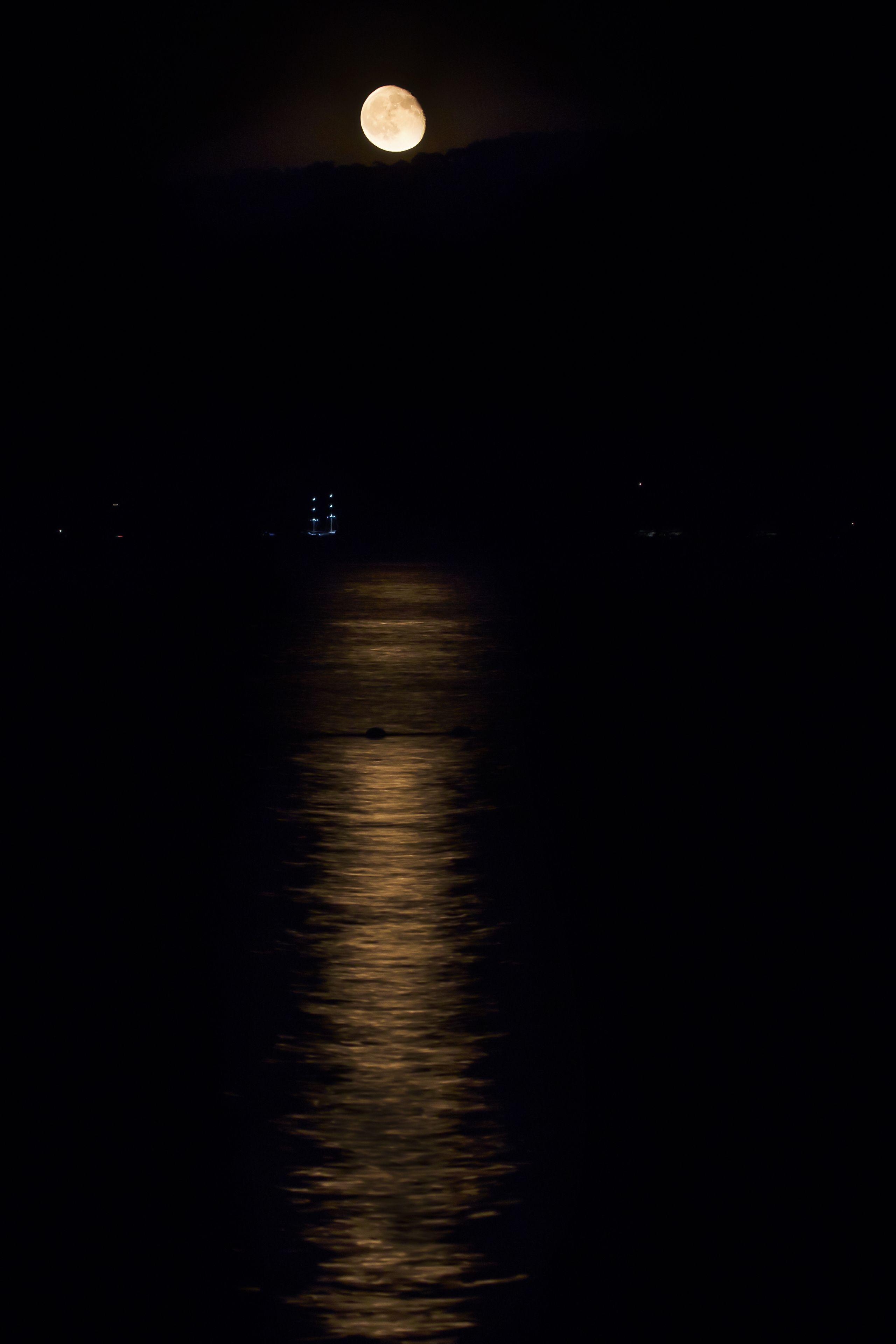 Foto - Romance Beach Hotel