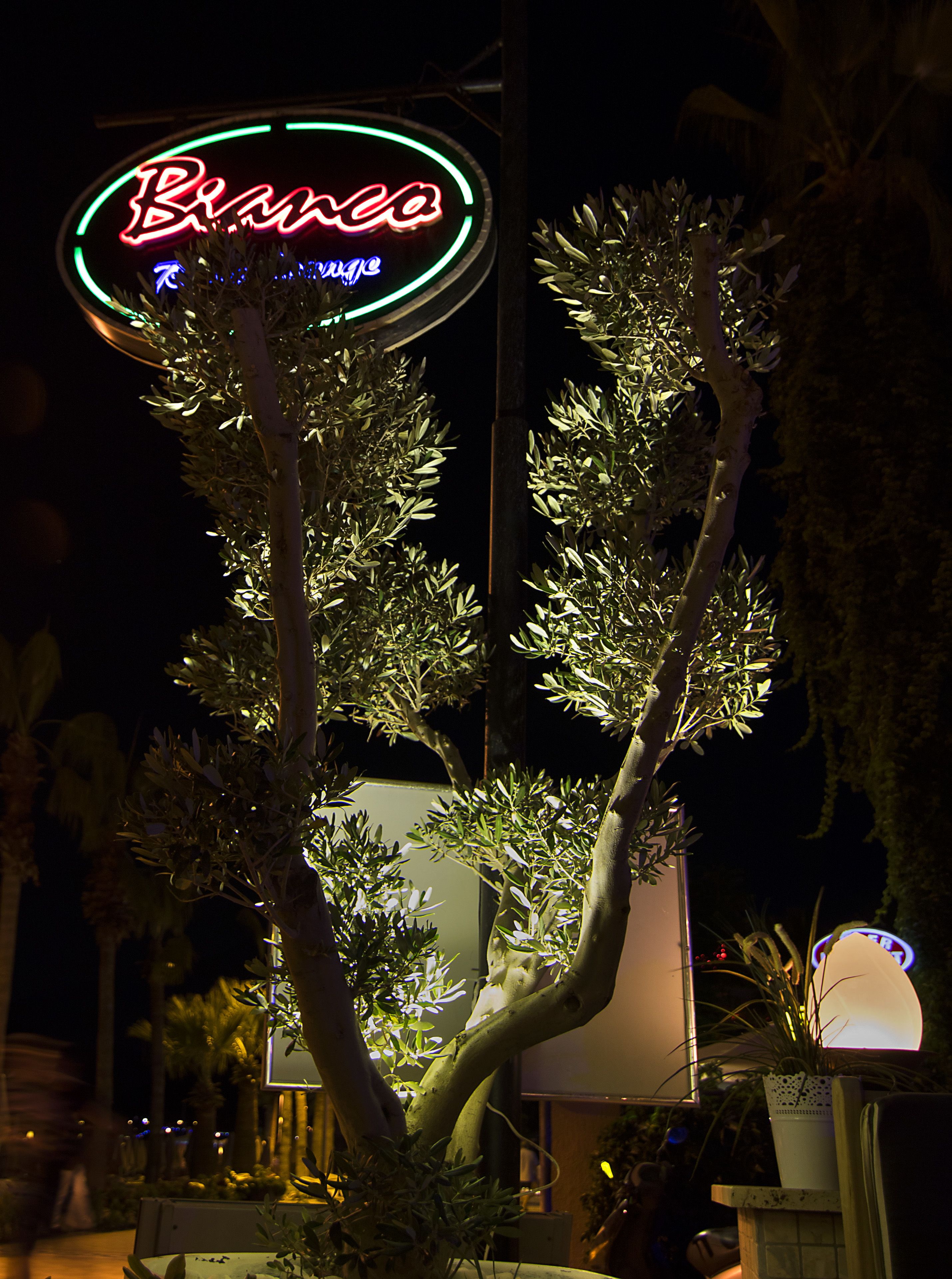 Foto - Romance Beach Hotel