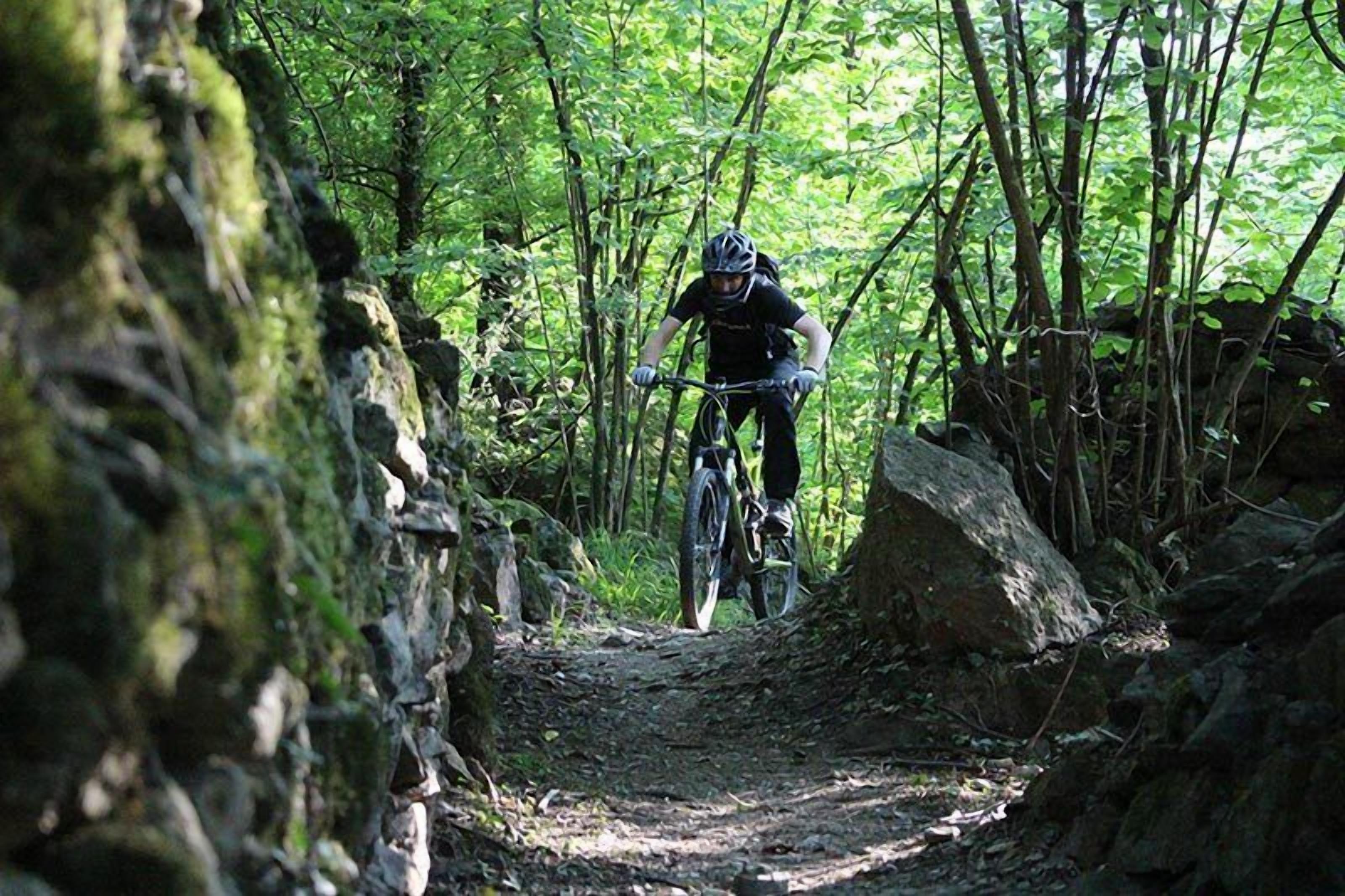 Photo - Hotel Des Alpes