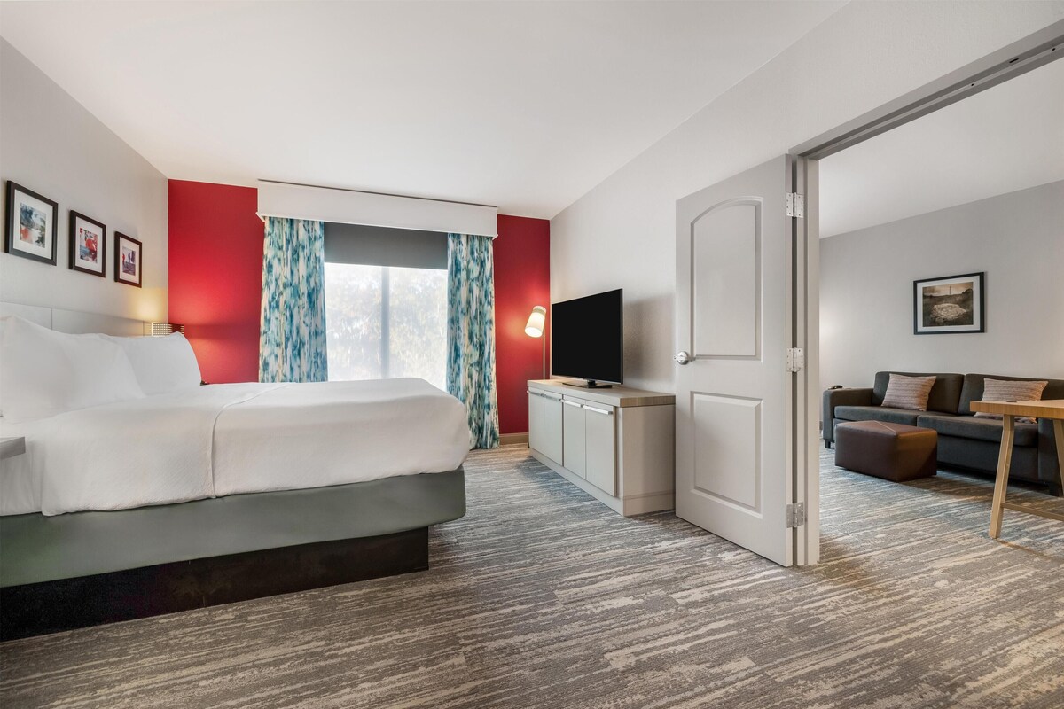 A hotel room with a bed, a TV, a desk, a sofa, and a view of the outdoors.