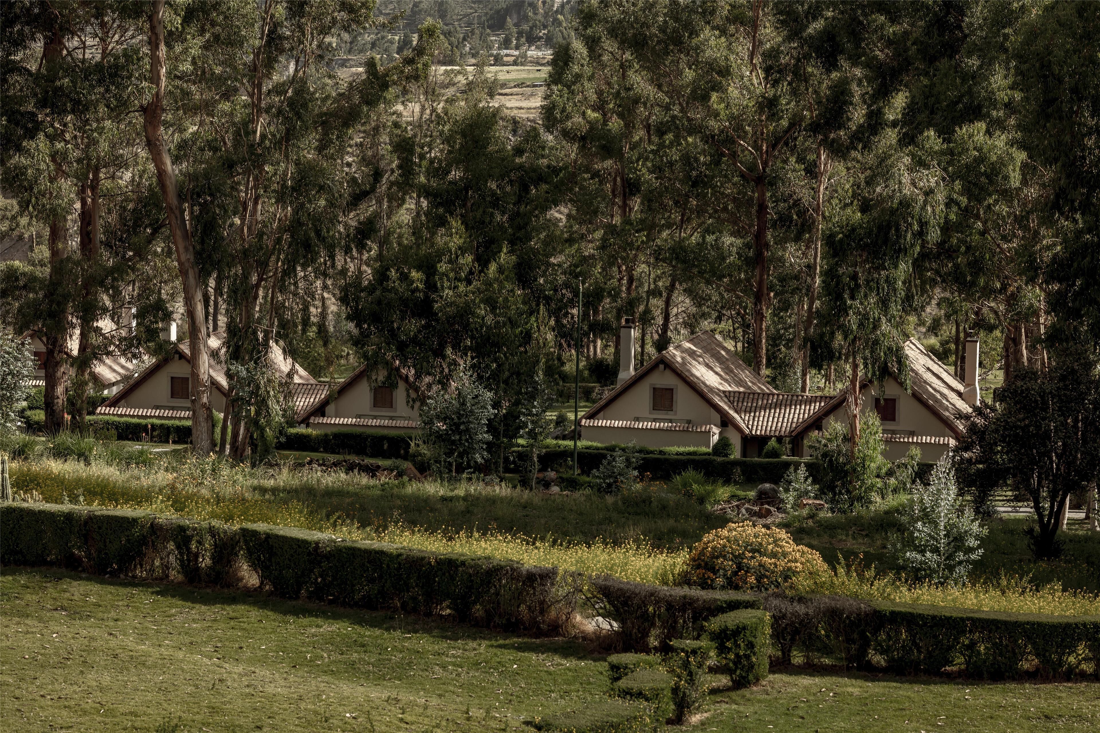 A row of traditional-style houses with sloped roofs, surrounded by dense greenery and a well-maintained lawn.