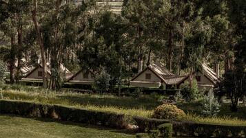 A row of traditional-style houses with sloped roofs, surrounded by dense greenery and a well-maintained lawn.