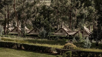 Habitación (Casita with Valley View) | Sábanas de algodón egipcio y ropa de cama de alta calidad