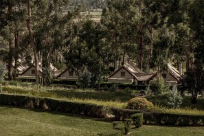 Egyptian cotton sheets, premium bedding, down duvets, in-room safe