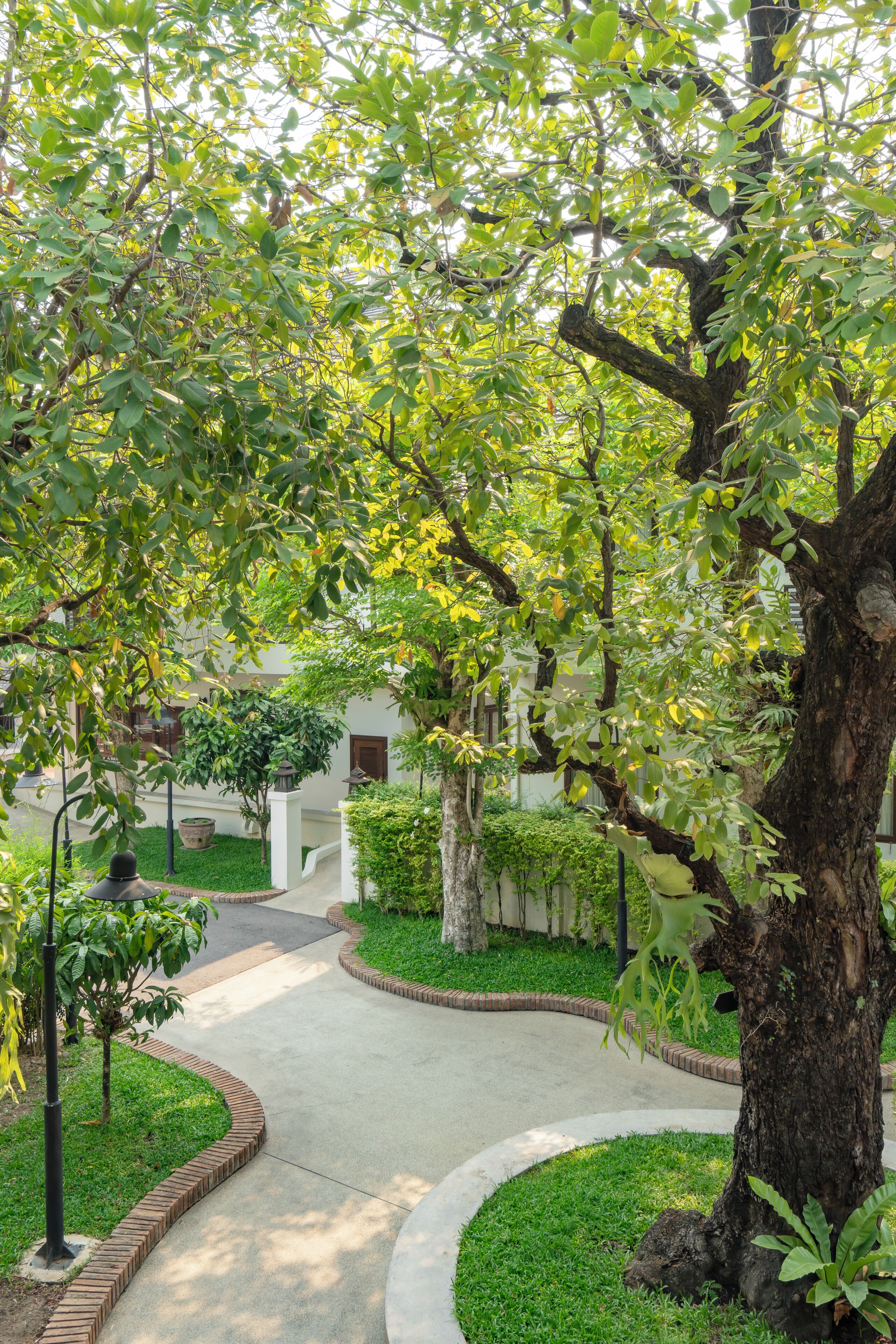 A pathway surrounded by greenery and a building with a curved roof.