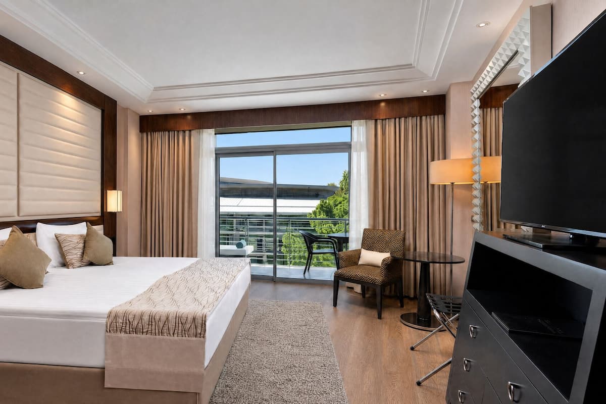 A hotel room with a large bed, a TV, a chair, and a balcony with a view.