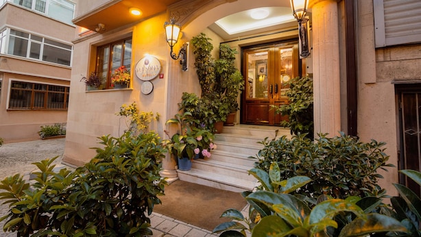 A hotel entrance with a stone facade, a set of steps leading to the door, and potted plants around the entrance. - Ala Sofia Hotel (Istanbul)