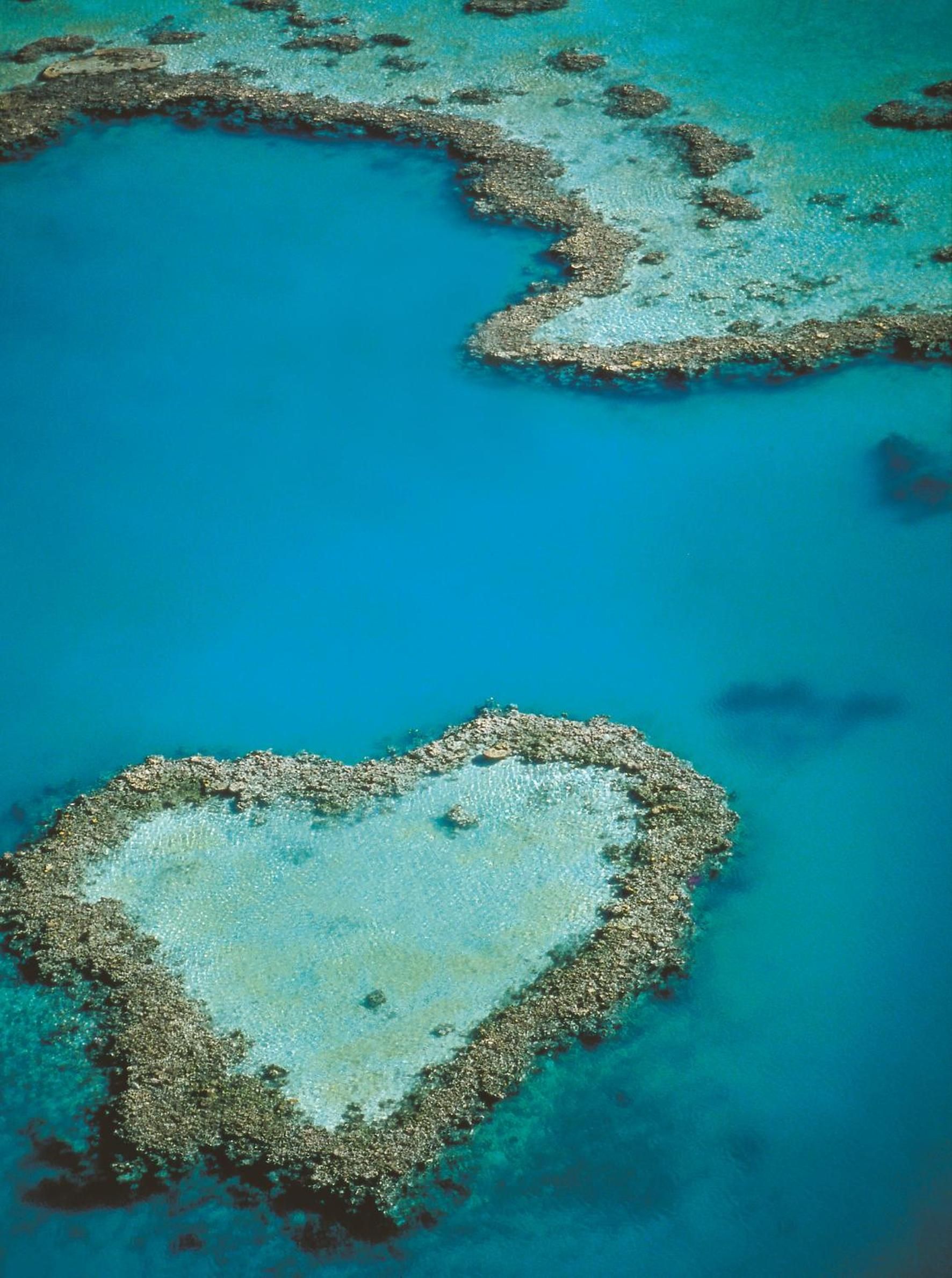 An aerial view of a heart-shaped coral reef formation surrounded by clear blue water.