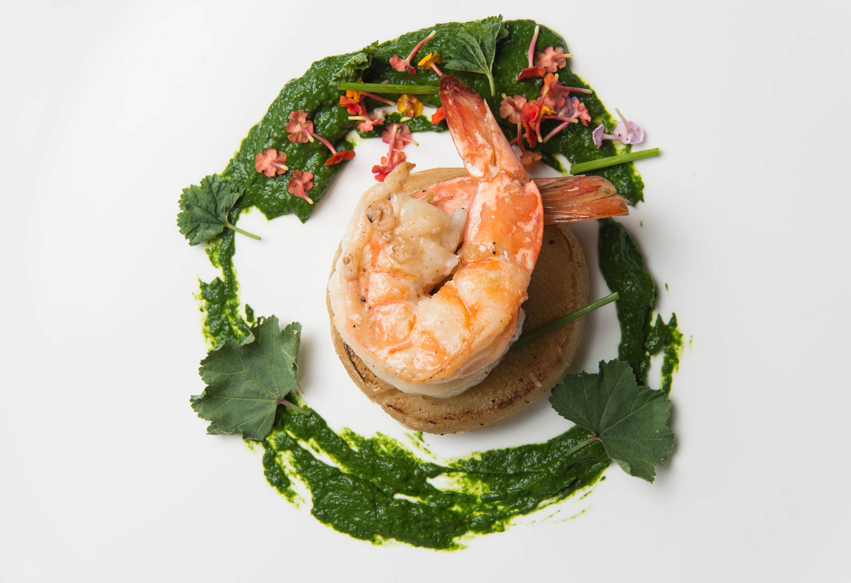 A plate with a shrimp on a cracker, surrounded by green sauce and leaves.