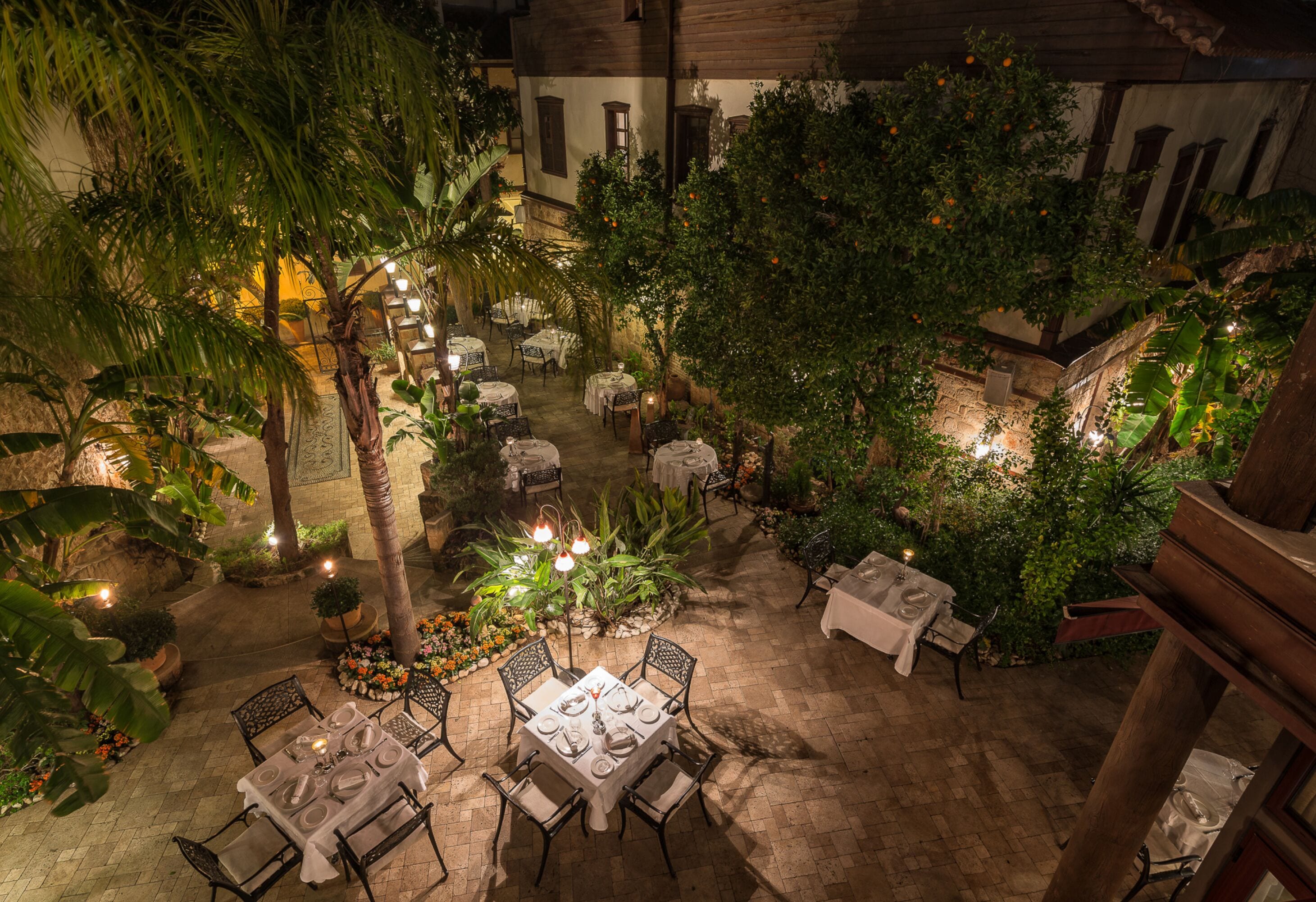 Un área de comedor al aire libre con mesas y sillas, rodeada de exuberante vegetación y plantas.