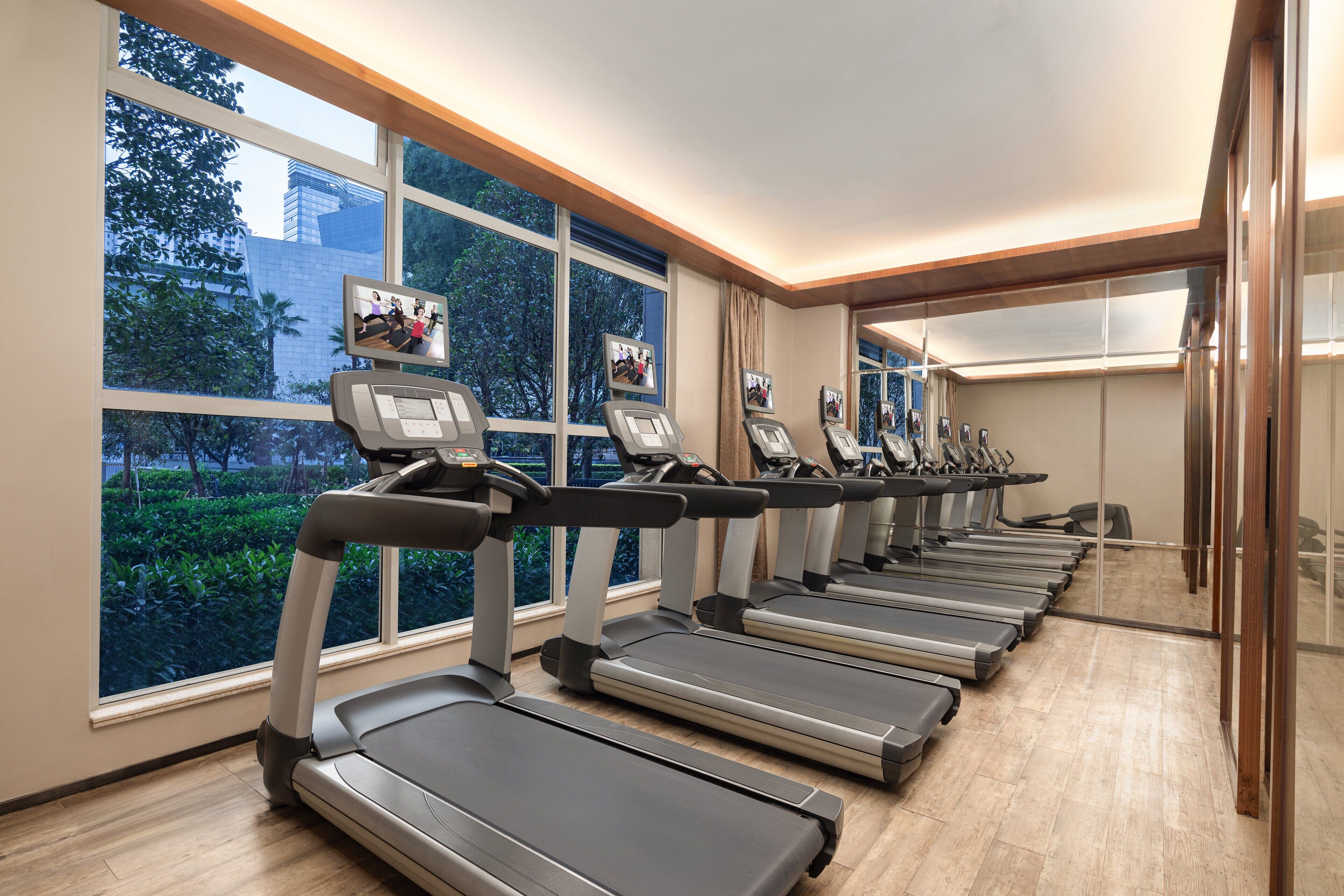 A gym with treadmills aligned against a wall with large windows, offering views of trees and buildings outside.