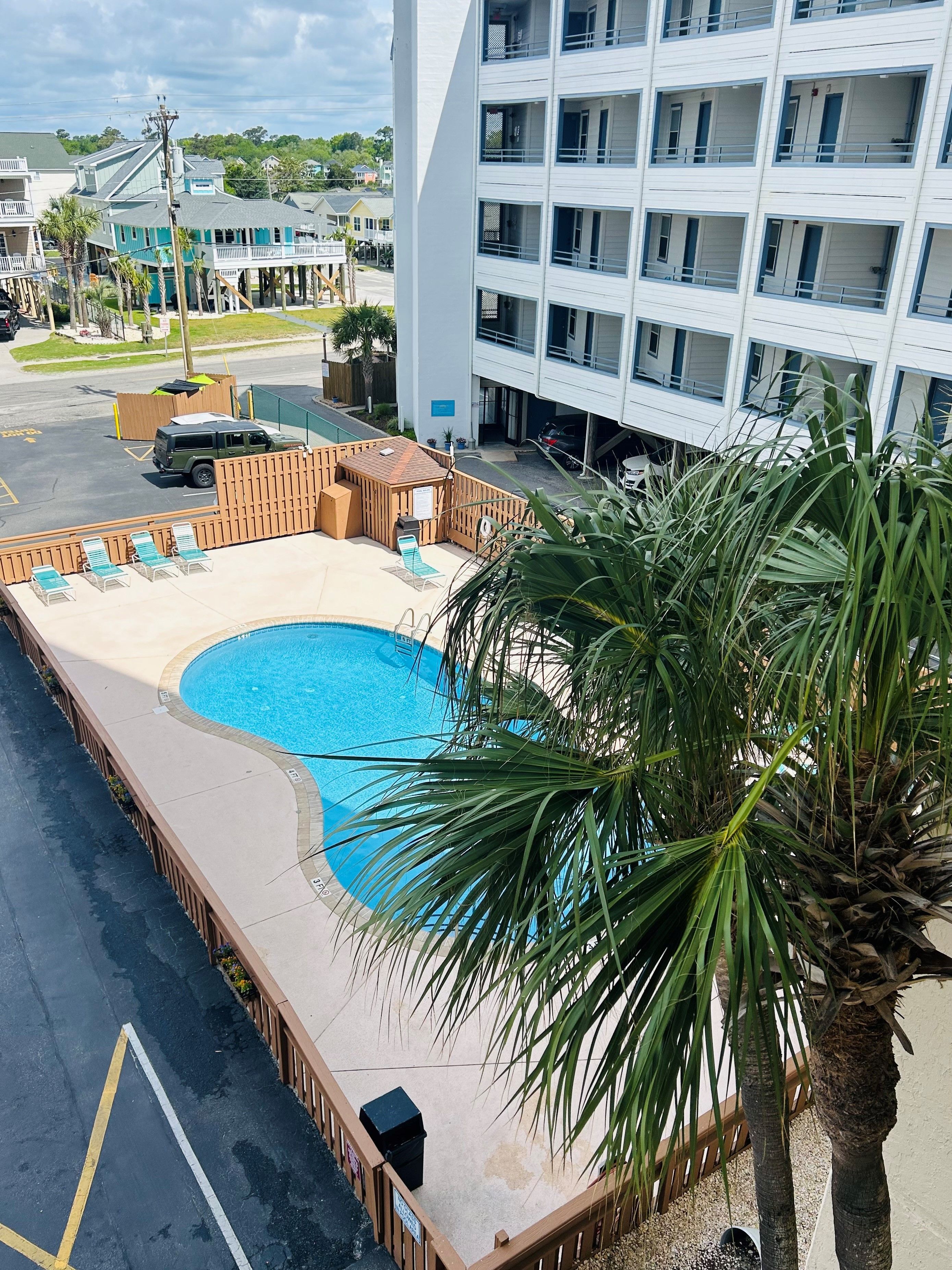 A hotel with a swimming pool, lounge chairs, and a palm tree.