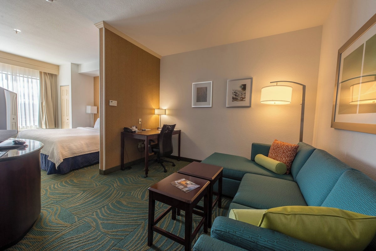 A hotel room with a bed, a desk, a sofa, and a small table.