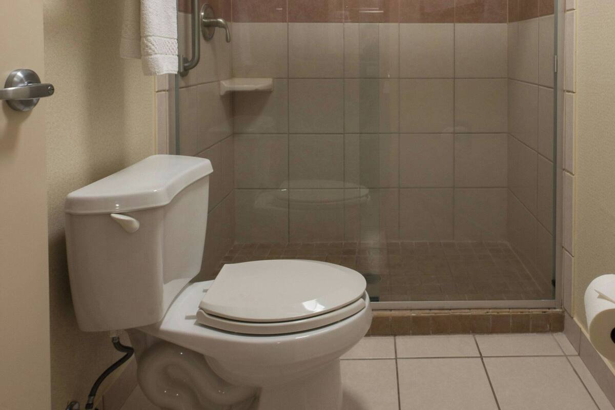 free toiletries, hair dryer, towels