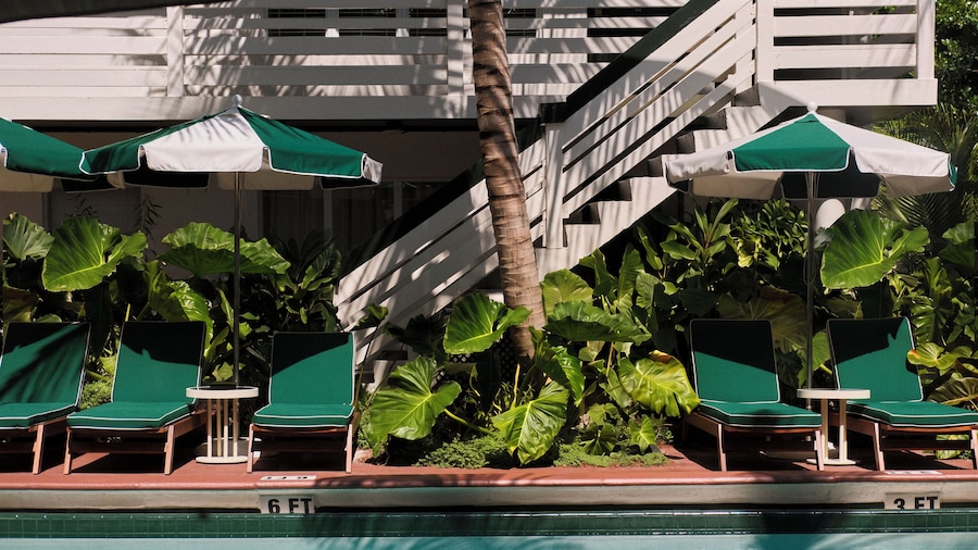 Perroquet Hotel Fort Lauderdale Beach