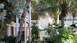A pathway flanked by lush greenery, palm trees, and a building with a white facade.