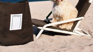 A dog sitting on a beach chair with a label on the backrest.