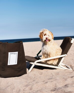 Beach nearby, white sand, beach umbrellas, beach towels - Perroquet Hotel Fort Lauderdale Beach (Fort Lauderdale)