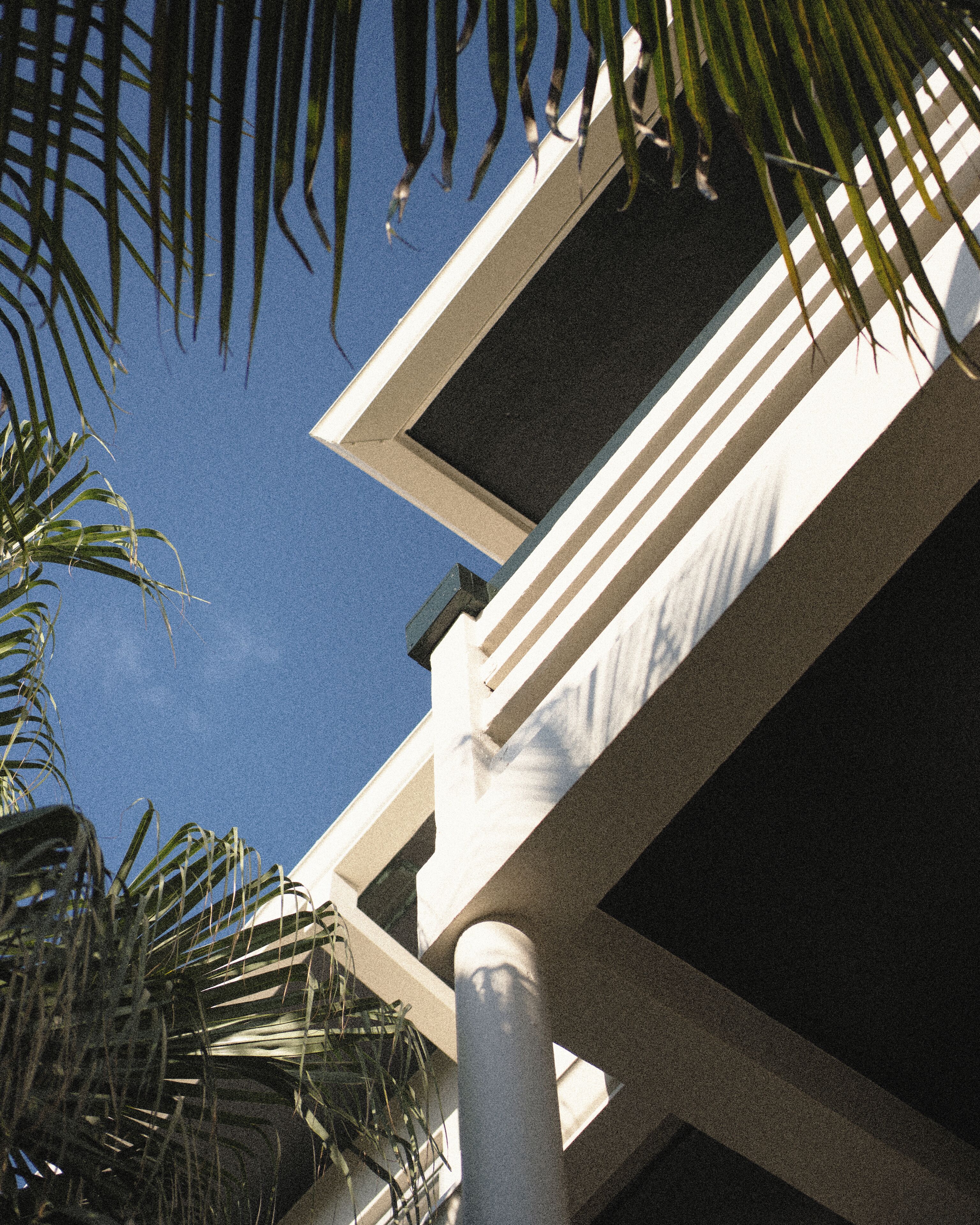Un bâtiment à la façade blanche, doté d’un balcon bien visible et d’un palmier au premier plan.