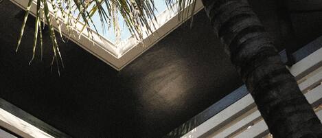 A corner of a building with a sloped ceiling, a palm tree, and a column.