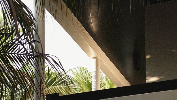 A modern outdoor area with a wooden bench, palm trees, and a concrete structure.