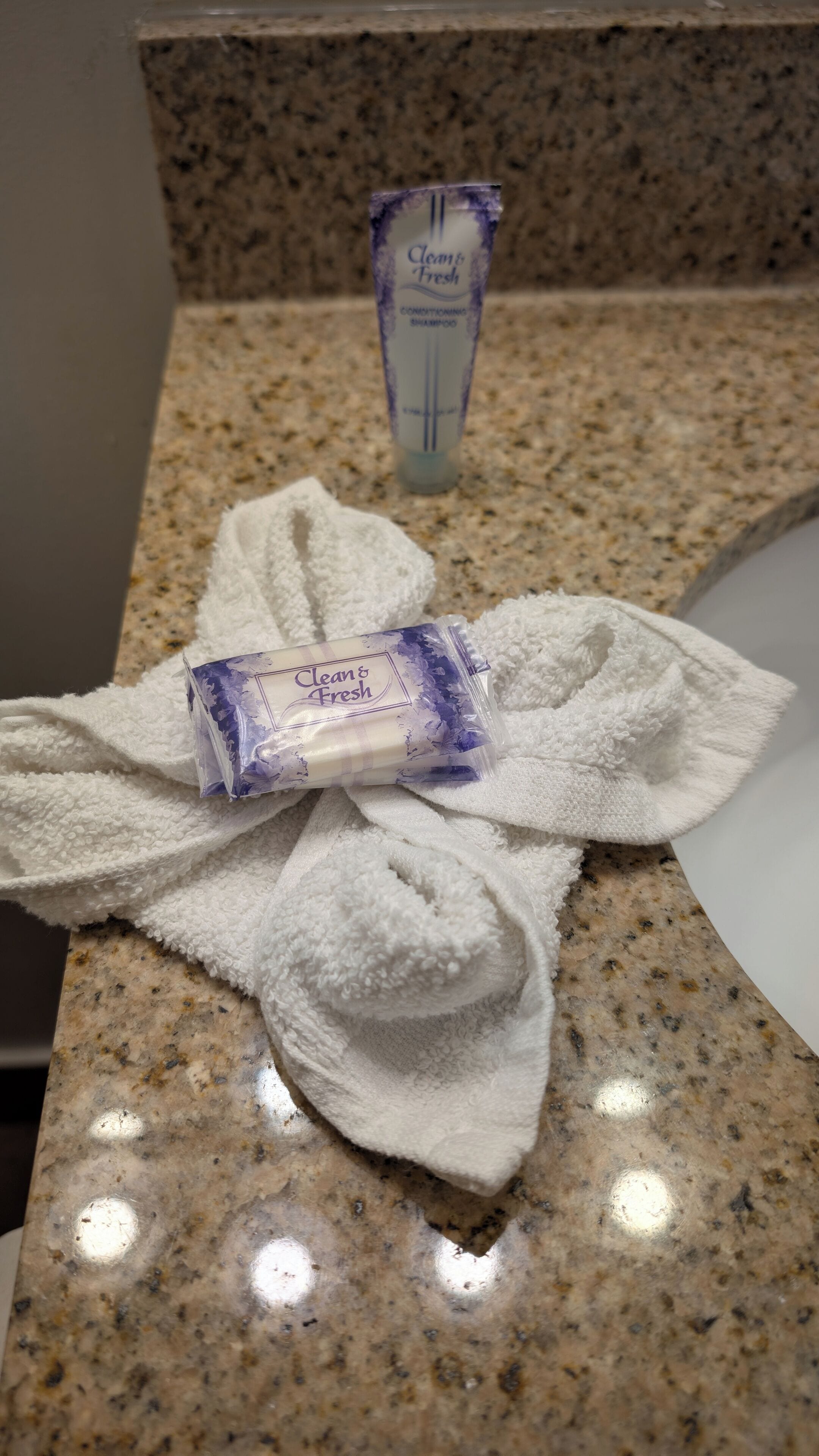 A bathroom with a granite countertop, a white towel, and a bottle of shampoo.