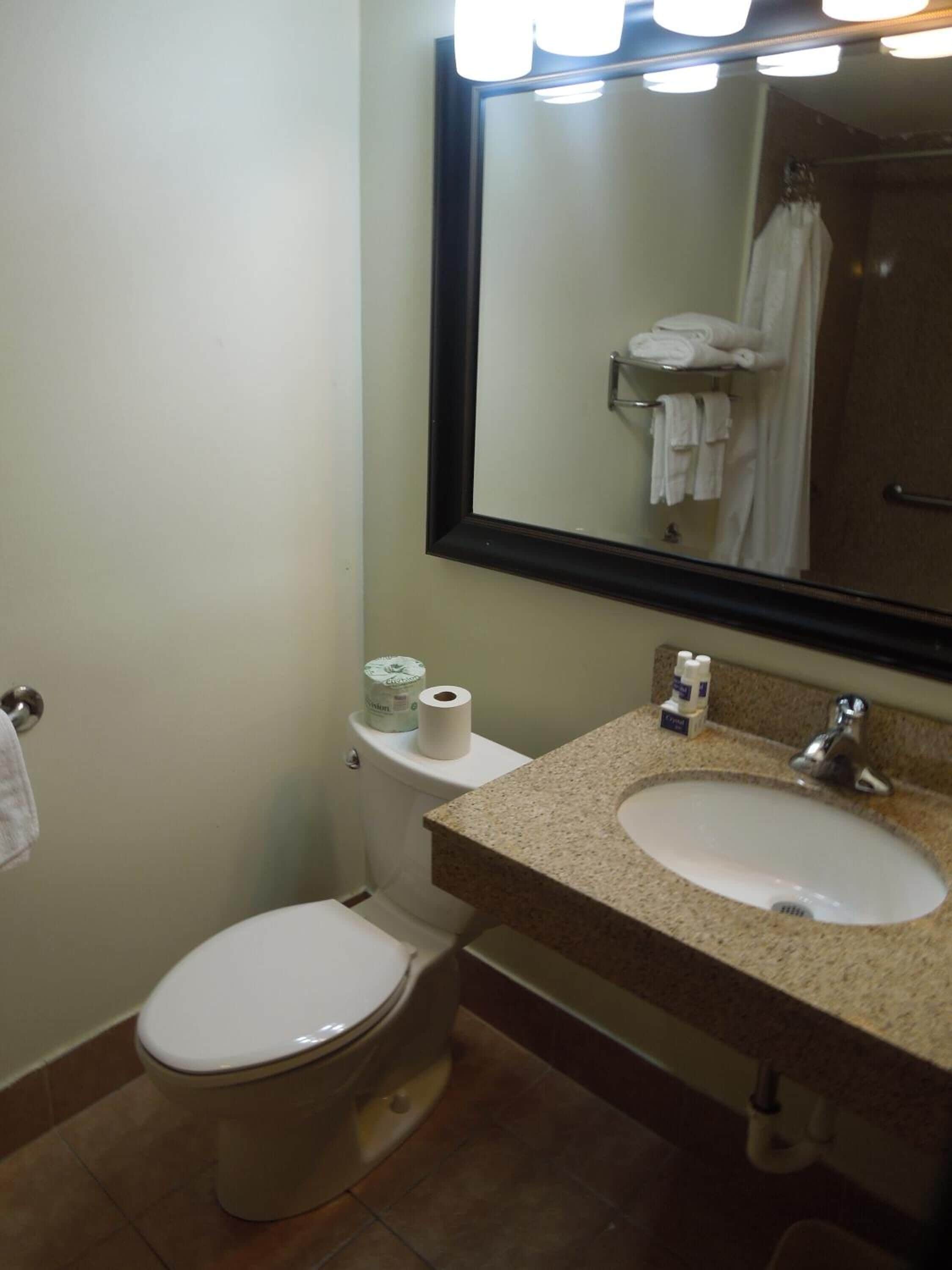 A bathroom with a toilet, sink, and mirror.