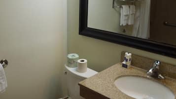 Un baño con inodoro, lavamanos y espejo.
