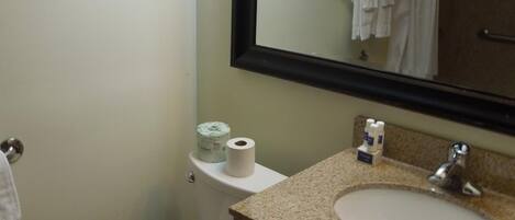 A bathroom with a toilet, sink, and mirror.