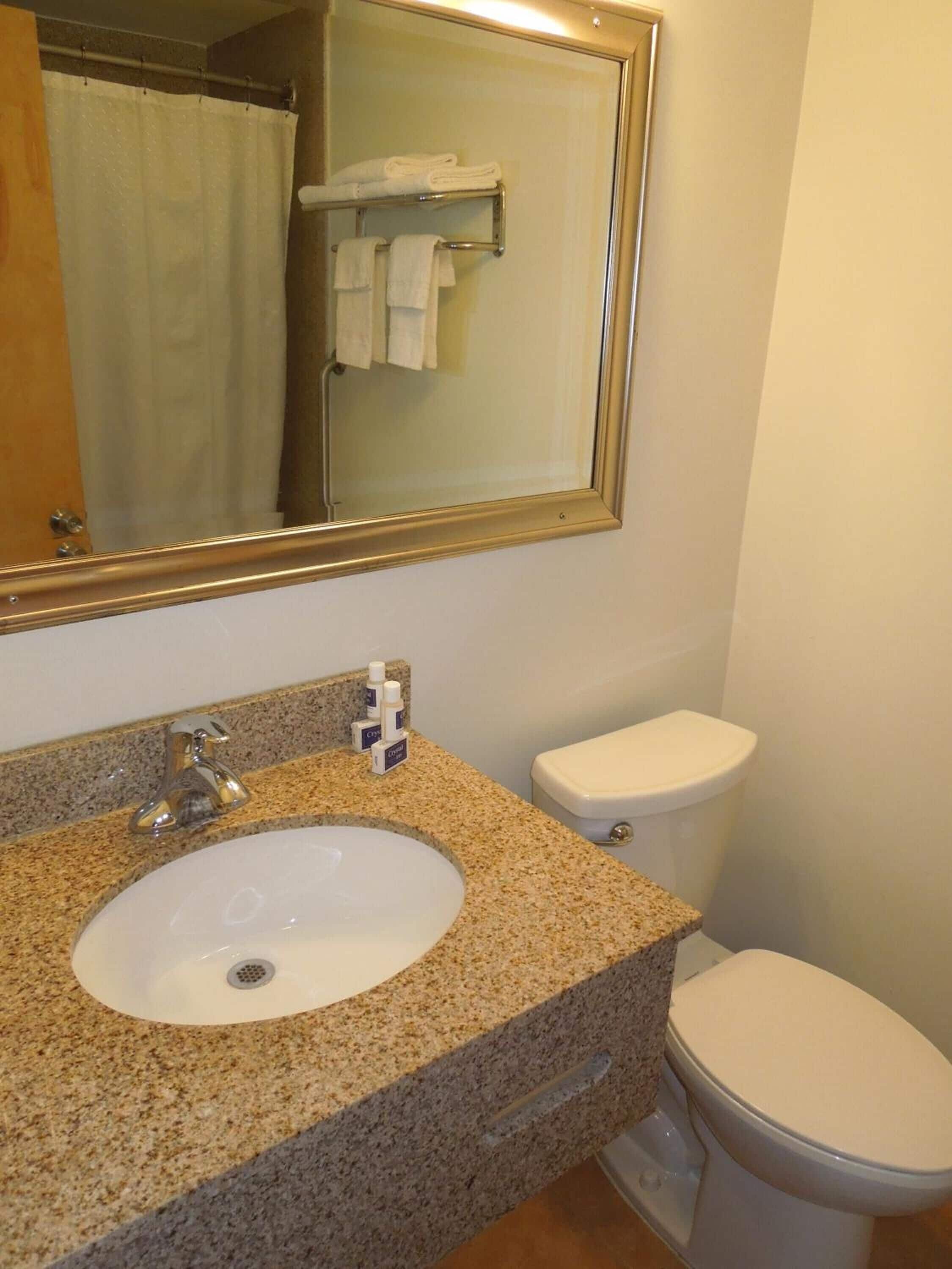 A bathroom with a granite countertop sink, a mirror, a toilet, and a shower curtain.
