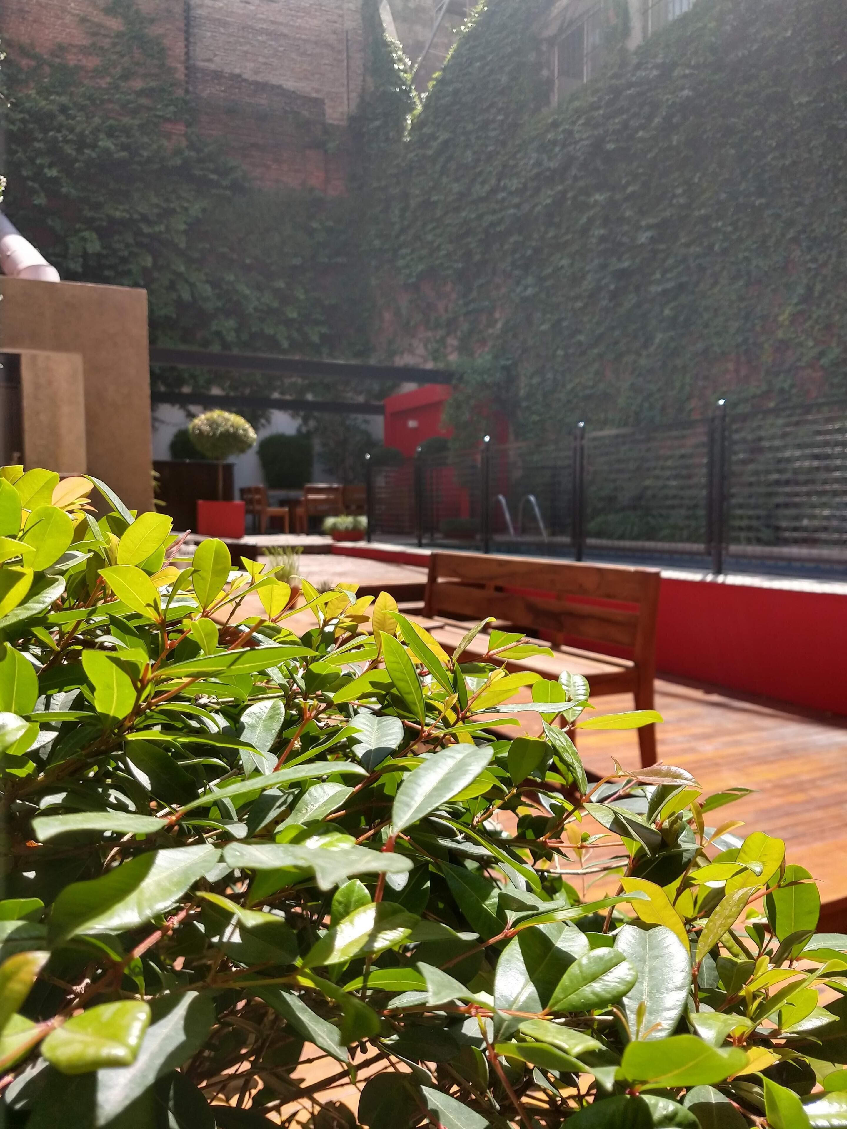 Uma área de pátio com um banco de madeira e uma mesa, cercada por vegetação e uma parede vermelha.