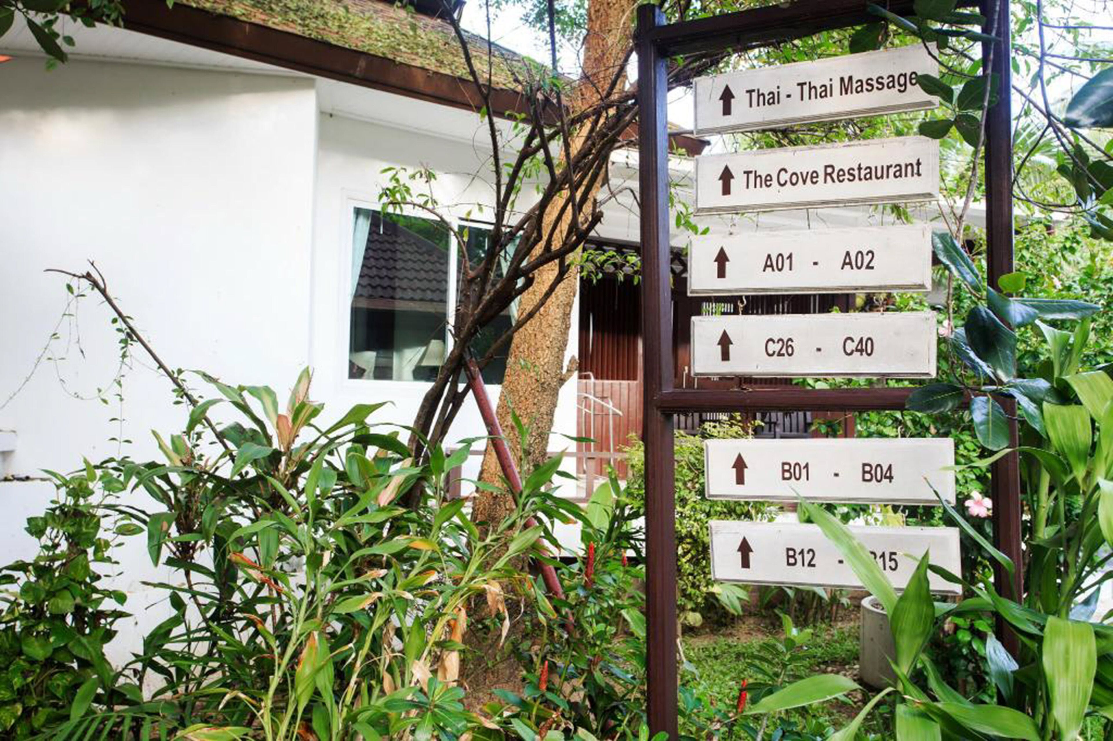 Photo - Chaweng Cove Beach Resort