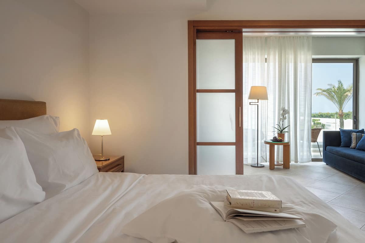 Minibar, in-room safe, blackout curtains, iron/ironing board