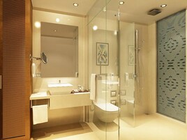 Shower, free toiletries, hair dryer, towels