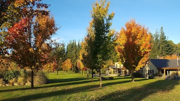 Jardín