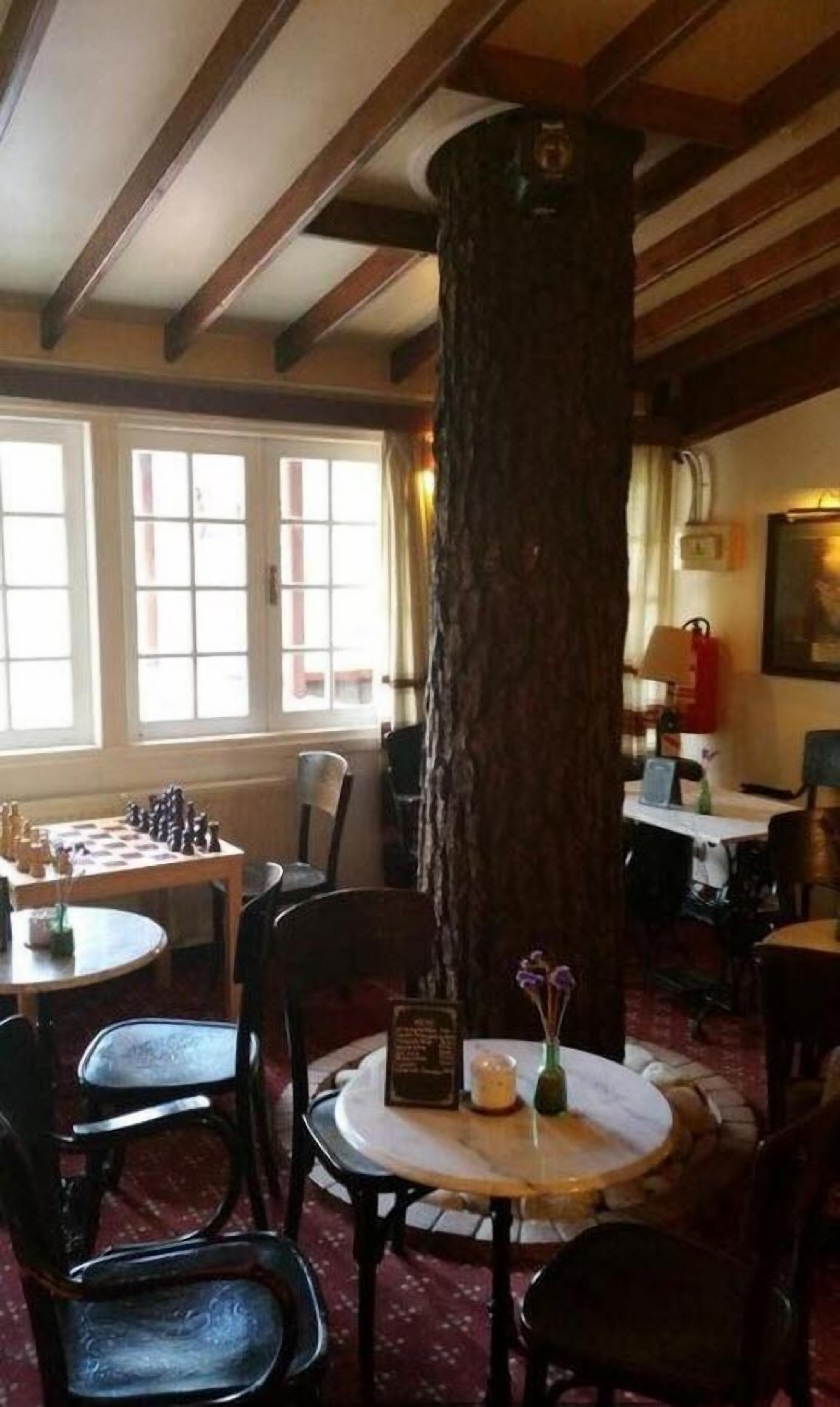 A cozy dining area with wooden beams, a large tree trunk centerpiece, and a chessboard on a table.