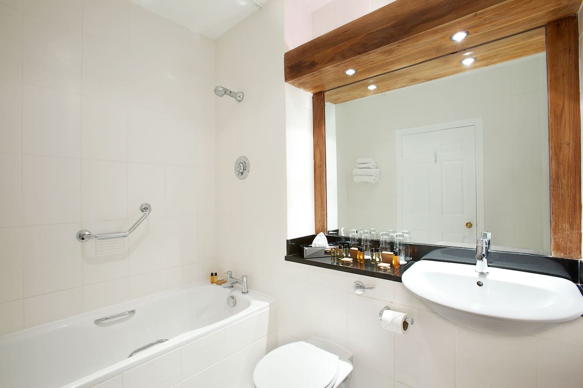 combined shower/bathtub, free toiletries, hair dryer, towels