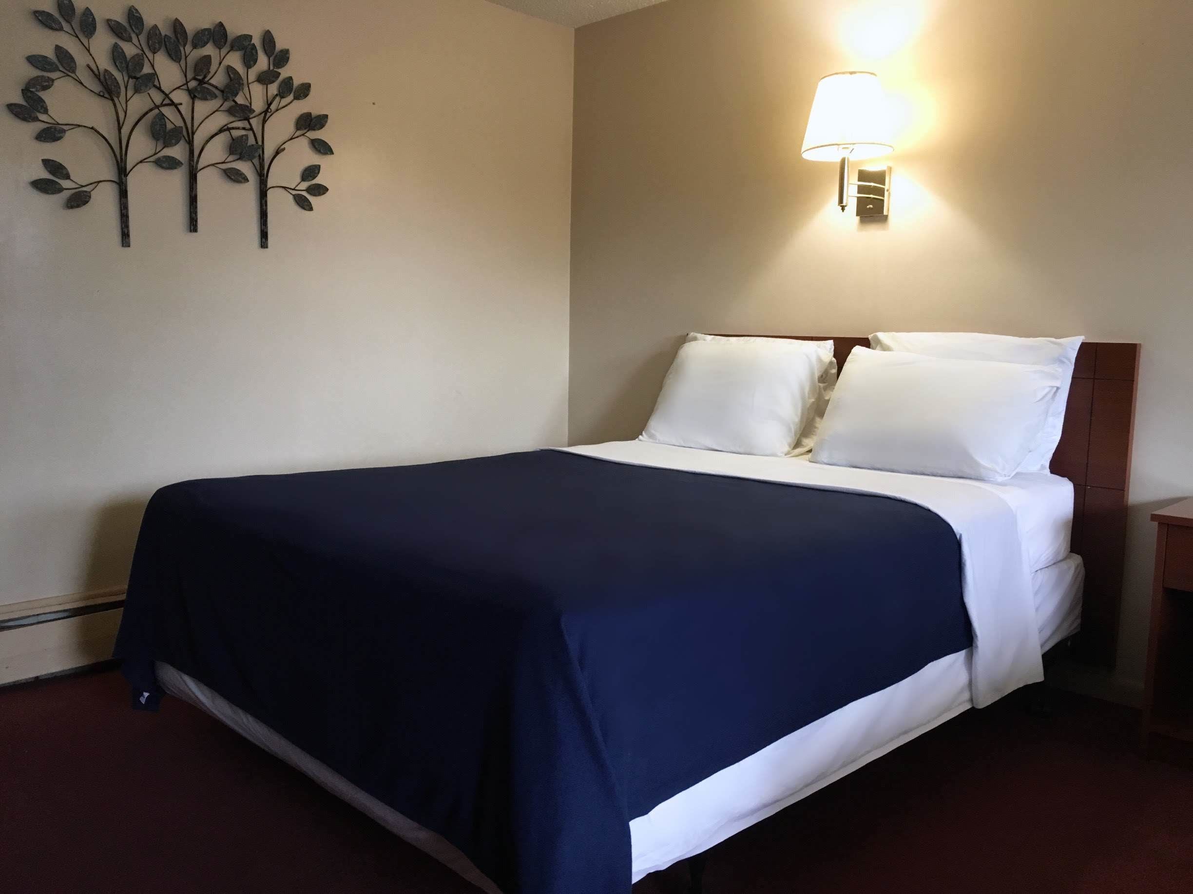 Foto - Swiss Cottage Inn