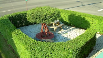 Tuin
