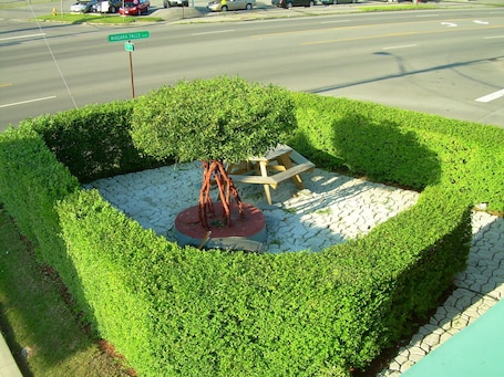 Jardín