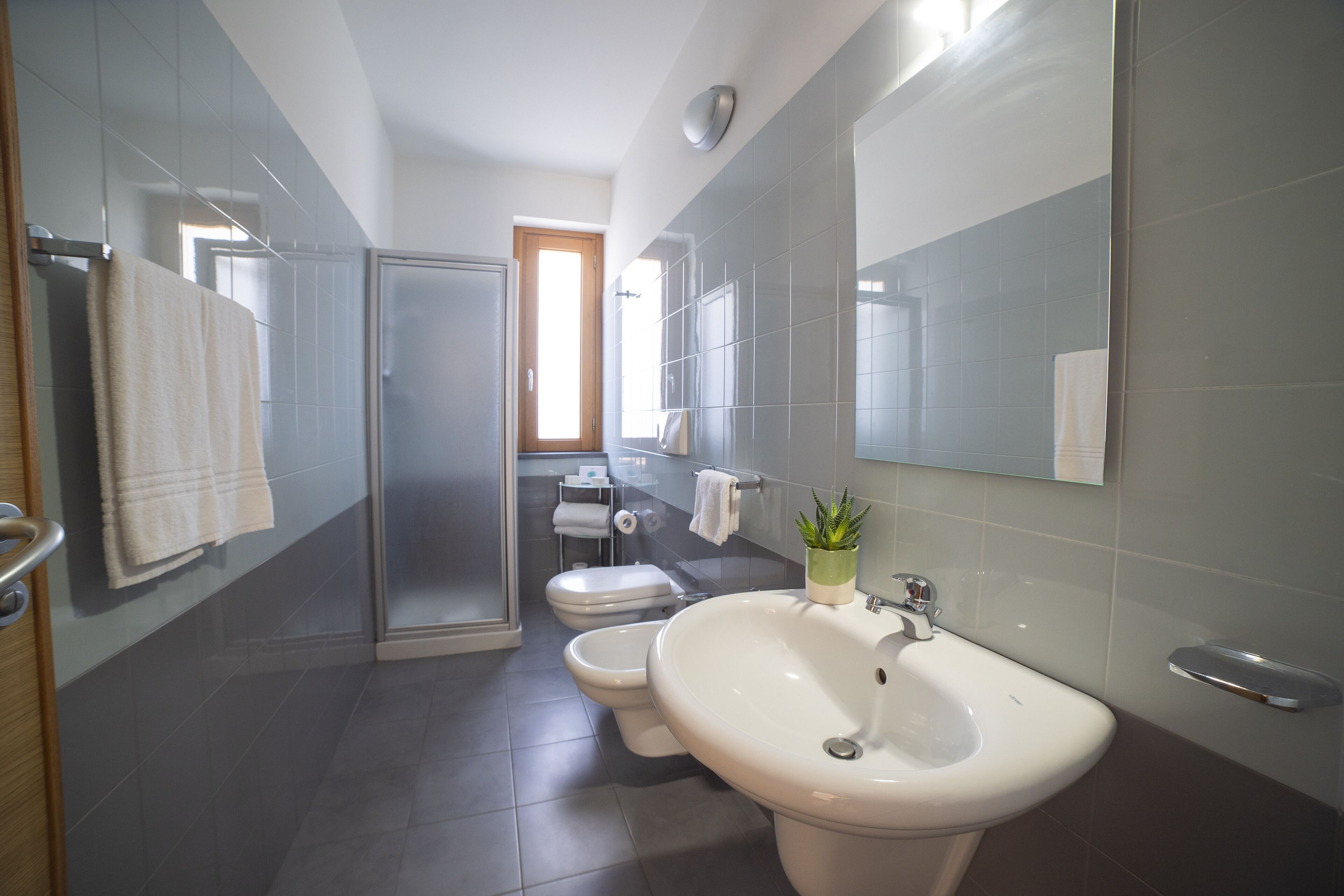 shower, free toiletries, hair dryer, bidet